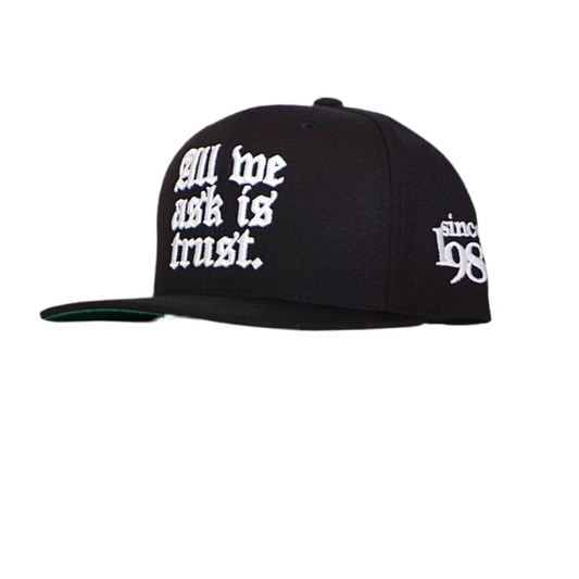 All We Ask Is Trust Snapback