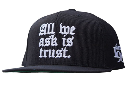 All We Ask Is Trust Snapback