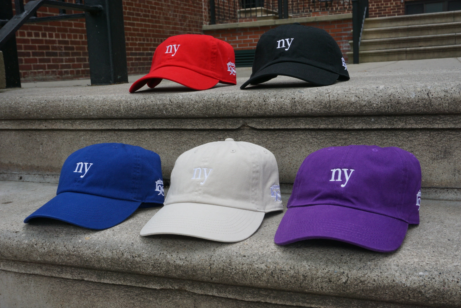 V•S NY Dad Hats