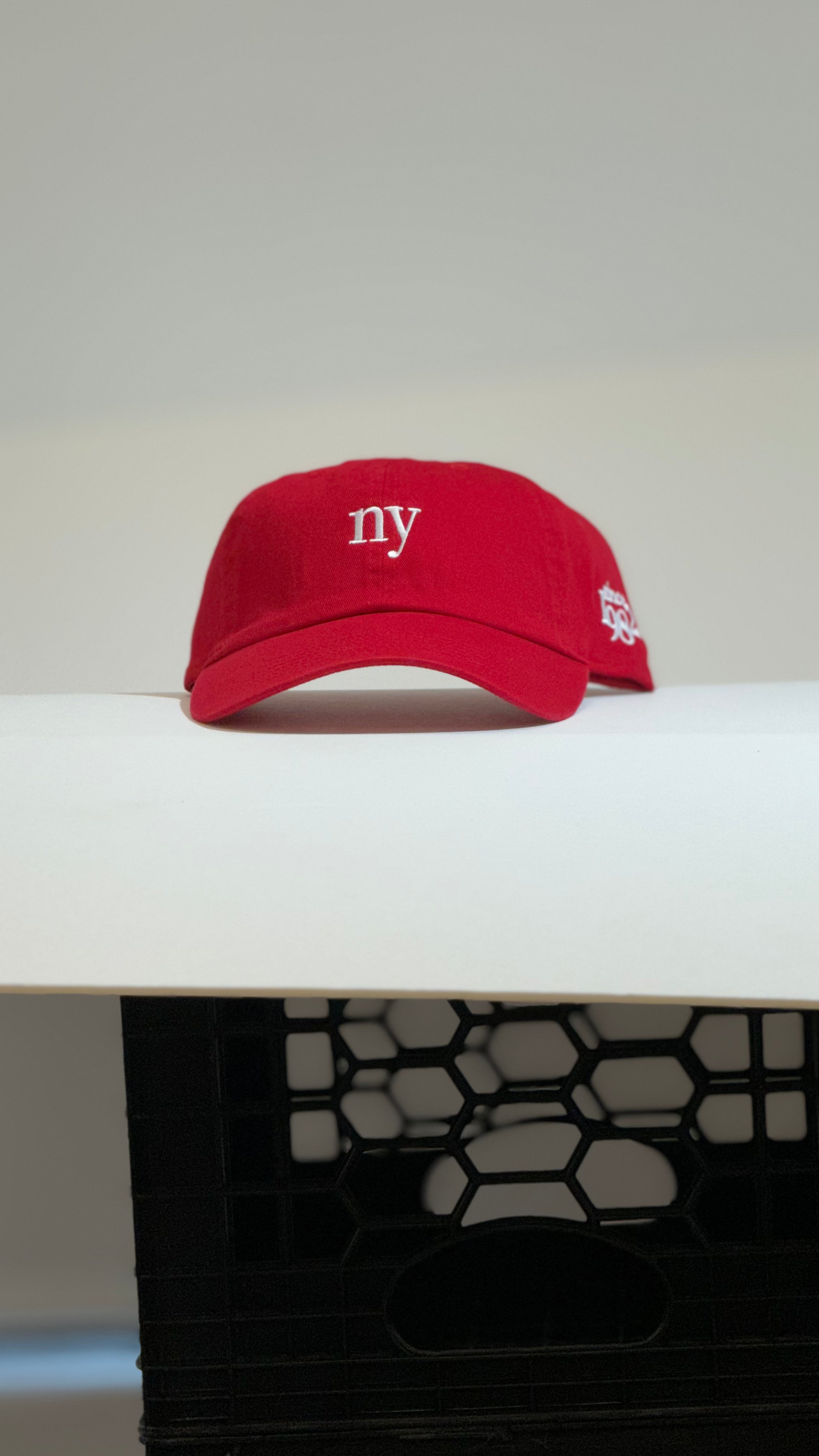 Red V•S NY Dad Hats