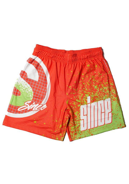 Backspin Mesh Shorts