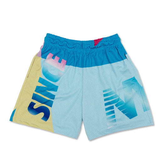 Wynwood Mesh Shorts